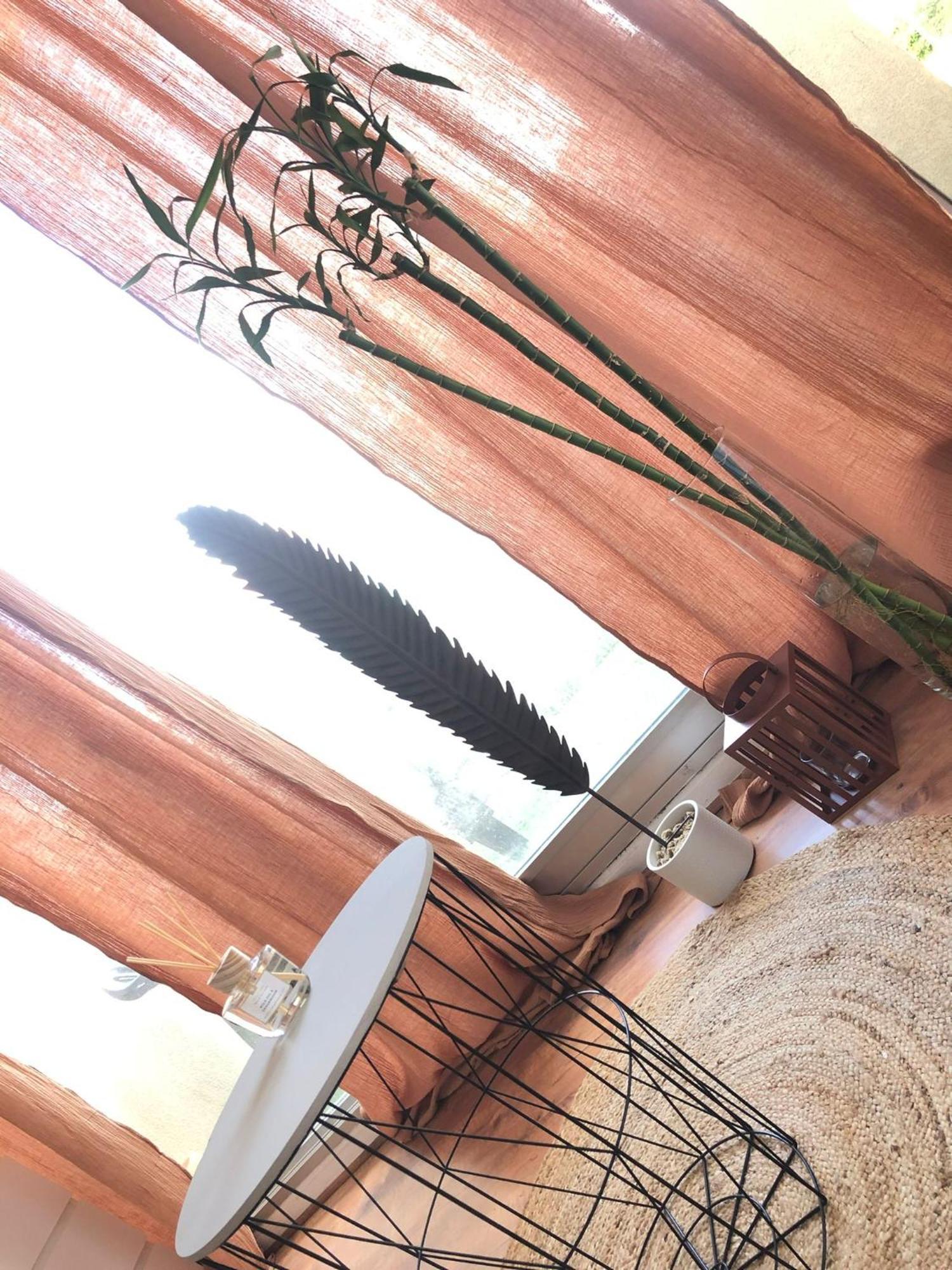 Studio Lacanau Plage Centrale Apartment